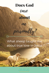 When life hurts, we wonder: Does God care about us personally? Or is He only a big-picture God? Join me to discover what sheep taught me about true love in Jesus.