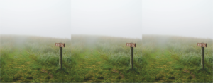 a wood sign next to a grassy path covered in fog