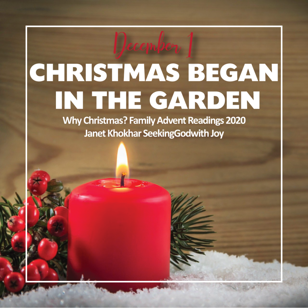 December 1st advent calendar graphic, saying "Christmas began in the Garden."