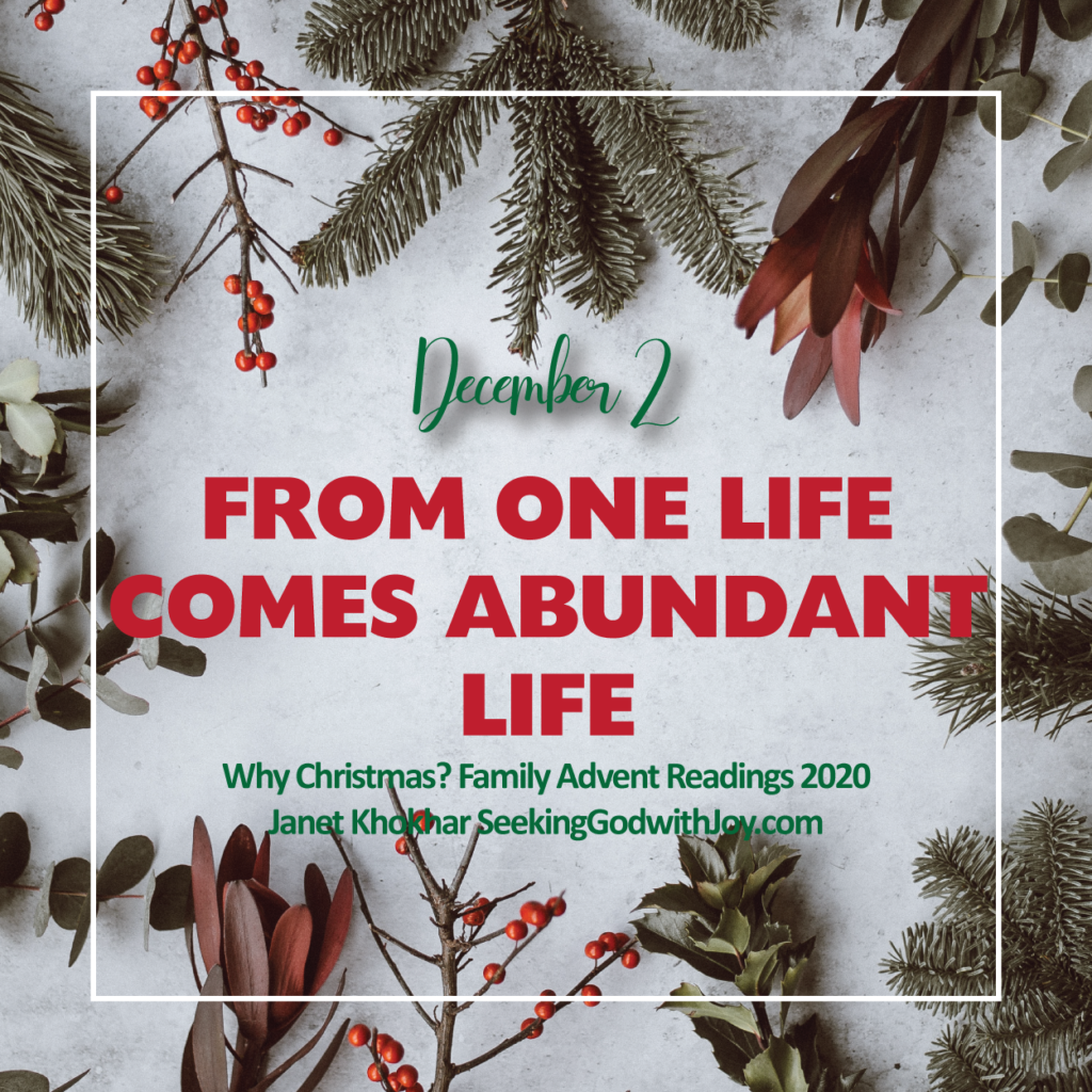 December 2 advent reading image, saying From One Life Comes Abundant Life