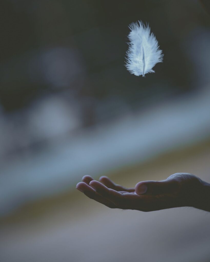 white feather fall into hand