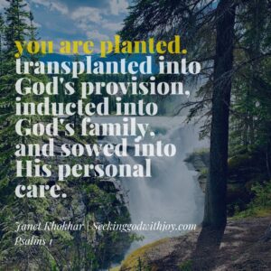 image of a tree next to a waterfall with text overlay that says, "you are planted. transplanted into God's provision, inducted into God's family, and sowed into His personal care." By Janet Khokhar.